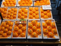 아빠는 농부다 승환이네 농장