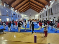 고려대솔빛태권도