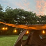 하이바이분양소 서울점