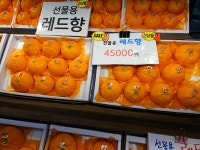 아빠는 농부다 승환이네 농장