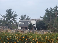 표선돌담마을
