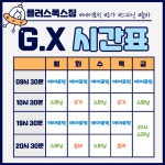 플러스폭스짐 헬스 골프 에어로빅 G.X