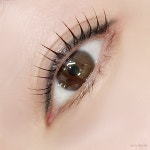 메이브로우 눈썹&속눈썹펌