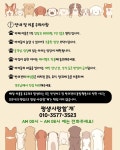 평생 사랑할 개