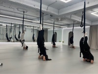 폭스바디스튜디오