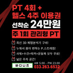 바디니즈