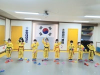 한양대태권도