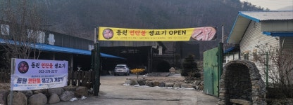 동원연탄불 생고기