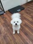 도기살롱
