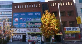 법무법인 경북삼일