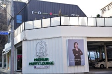 대구강아지분양 테디럽