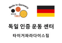 타이거파라다이스짐