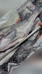 깻님이네 막회집