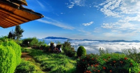 자연닮은치유농장