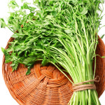 효자동솥뚜껑 의왕내손점