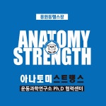 아나토미 스트랭스