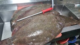 깻님이네 막회집
