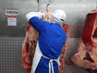 금한우