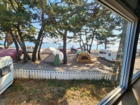 도영농원