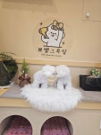 뽀벨그루밍