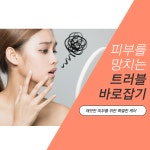 샐리뷰티스 에스테틱