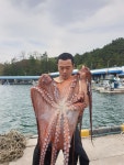 임포수달