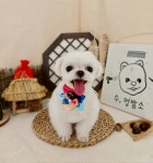 수멍발소 강아지미용실