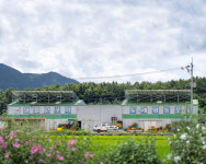 상월고구마두레영농조합