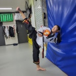 태권도 지음 정도장