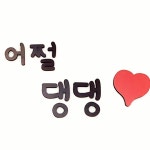 어쩔댕댕 애견미용실