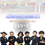 도솔합기도