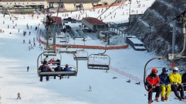 서울코리아트래블