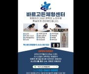 디버스아카데미