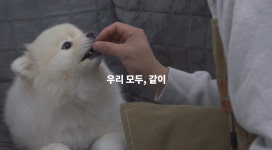 로젯펫살롱 교동본점