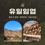 유일임업