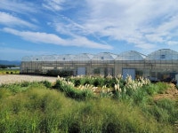 꿈에그린체험농장