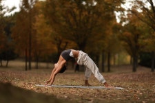 킴스요가&필라테스 중앙점