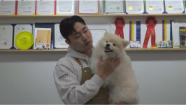 로젯펫살롱 교동본점