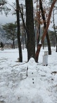 칠봉송정캠핑장