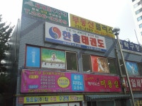 한솔태권도
