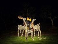 미가쉴 가족펜션