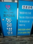 코카24시동물병원