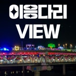 신미정춘천닭갈비 본점