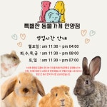 특별한동물가게 안양점