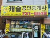 캐슬공인중개사사무소