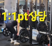 팀에스핏 복현동헬스장
