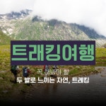 글로벌코리아투어