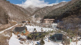 수도중앙교회