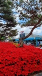 인삼랜드휴게소통영방향 푸드코트