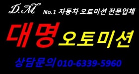대명오토미션